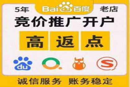 案例分析：SEM优化助力电商销量增长